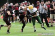 Thumbs/tn_GFL_0006.jpg