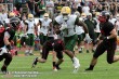 Thumbs/tn_GFL_0007.jpg