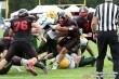 Thumbs/tn_GFL_0009.jpg