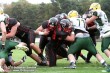 Thumbs/tn_GFL_0011.jpg