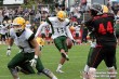Thumbs/tn_GFL_0013.jpg