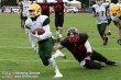 Thumbs/tn_GFL_0017.jpg