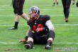 Thumbs/tn_GFL_0018.jpg