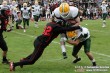 Thumbs/tn_GFL_0020.jpg