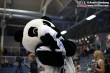 Thumbs/tn_IMG_0795.jpg