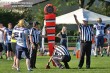 Thumbs/tn_IMG_1371.jpg