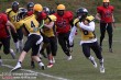 Thumbs/tn_IMG_2120.jpg