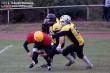 Thumbs/tn_IMG_2232.jpg