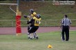 Thumbs/tn_IMG_2245.jpg