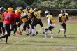 Thumbs/tn_IMG_2248.jpg