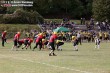 Thumbs/tn_IMG_2255.jpg