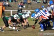 Thumbs/tn_IMG_2664.jpg