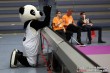 Thumbs/tn_IMG_3462.jpg