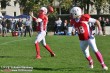 Thumbs/tn_IMG_3724.jpg