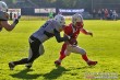 Thumbs/tn_IMG_3777.jpg