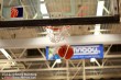 Thumbs/tn_IMG_5328.jpg