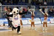 Thumbs/tn_IMG_8636.jpg