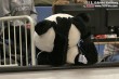 Thumbs/tn_IMG_9010.jpg