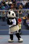 Thumbs/tn_IMG_1961.jpg