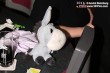 Thumbs/tn_IMG_6703.jpg
