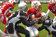 Thumbs/tn_IMG_8623.jpg