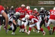 Thumbs/tn_IMG_8655.jpg