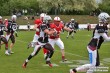 Thumbs/tn_IMG_9056.jpg