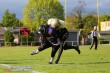 Thumbs/tn_IMG_9879.jpg