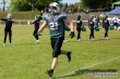 Thumbs/tn_IMG_0231.jpg