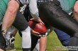 Thumbs/tn_IMG_0345.jpg