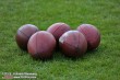 Thumbs/tn_IMG_0459.jpg