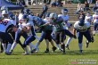 Thumbs/tn_IMG_0601.jpg