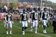 Thumbs/tn_GFL_0002.jpg