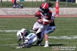 Thumbs/tn_GFL_0003.jpg