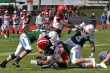 Thumbs/tn_GFL_0005.jpg