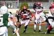 Thumbs/tn_GFL_0006.jpg
