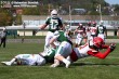 Thumbs/tn_GFL_0007.jpg