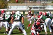 Thumbs/tn_GFL_0008.jpg