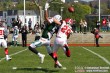 Thumbs/tn_GFL_0011.jpg