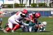 Thumbs/tn_GFL_0012.jpg