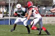 Thumbs/tn_GFL_0014.jpg