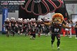 Thumbs/tn_GFL_0002.jpg