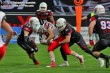 Thumbs/tn_GFL_0006.jpg