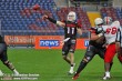 Thumbs/tn_GFL_0007.jpg