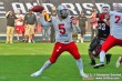 Thumbs/tn_GFL_0012.jpg