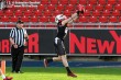 Thumbs/tn_GFL_0015.jpg