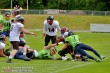 Thumbs/tn_IMG_9768.jpg