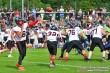Thumbs/tn_JMG_0432.jpg
