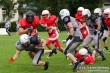 Thumbs/tn_IMG_3251.jpg