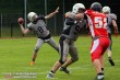 Thumbs/tn_IMG_3315.jpg
